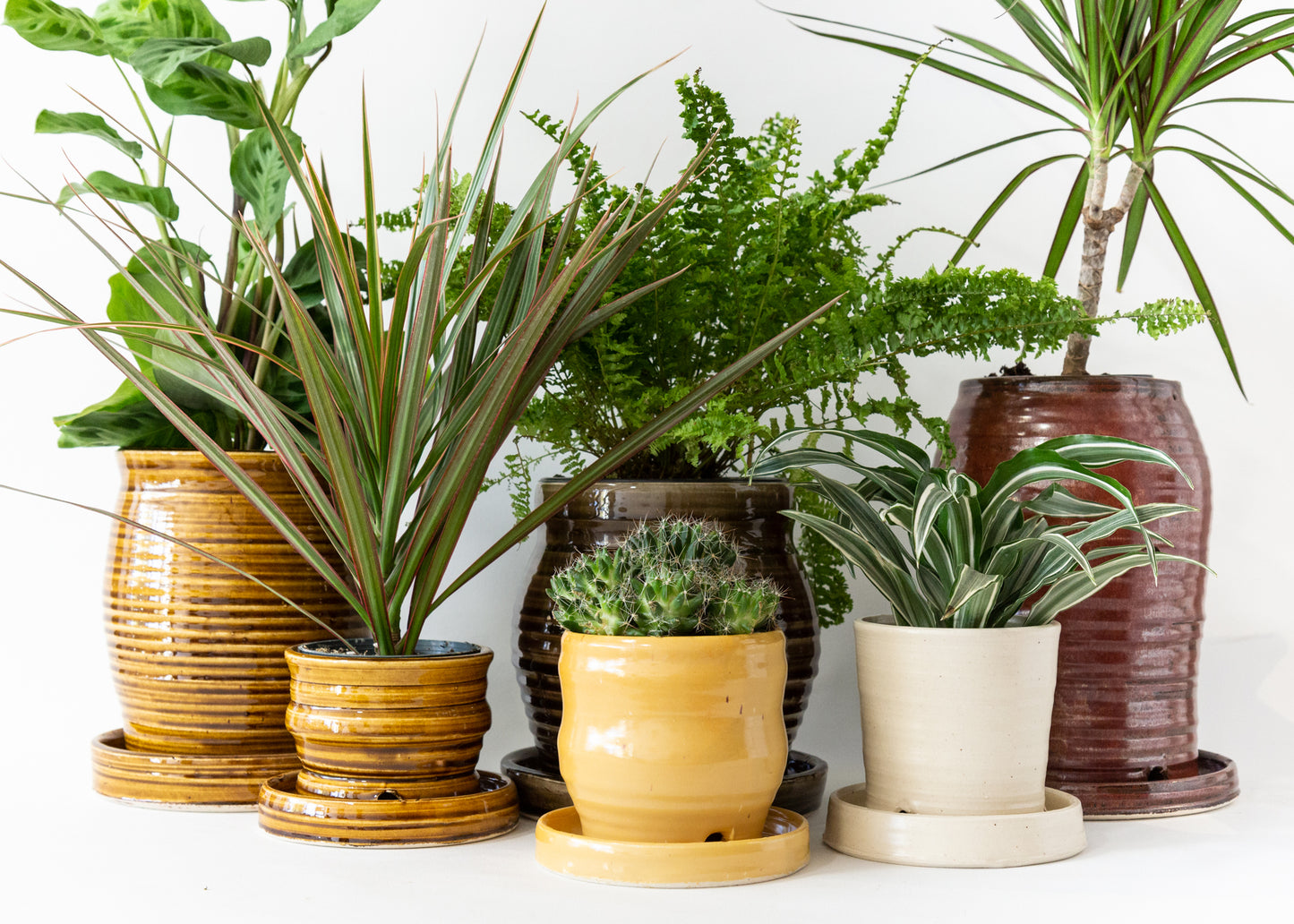 Pottery Only Gift Card